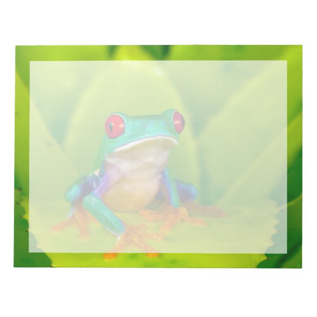 Red-eyed tree frog, Costa Rica Notizblock (Vorderseite)