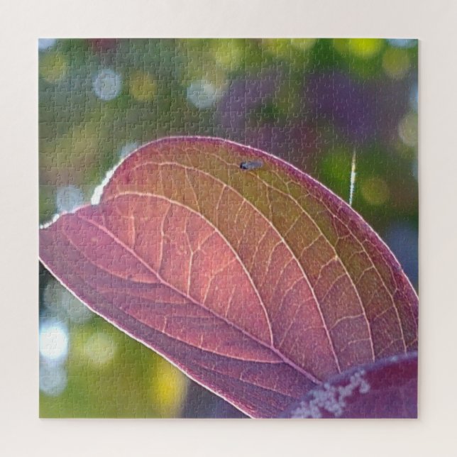 Red Fall Leaf und Bokeh (Vertikal)
