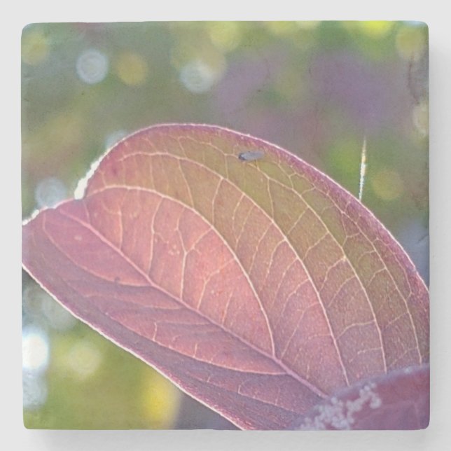 Red Fall Leaf und Bokeh Steinuntersetzer (Vorderseite)