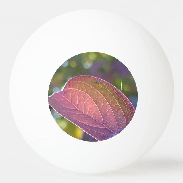 Red Fall Leaf und Bokeh Tischtennisball (Vorderseite)