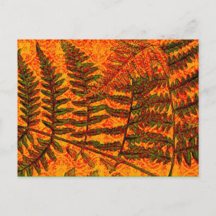 Red Fern Postkarte