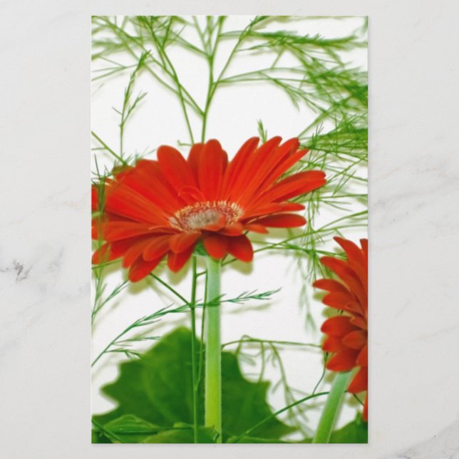 Red Floral (Vorderseite)