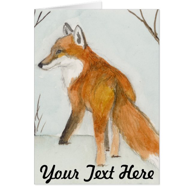 Red Fox (Vorne)