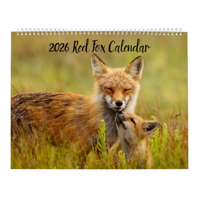 Red Fox 2025 Kalender (Titelbild)