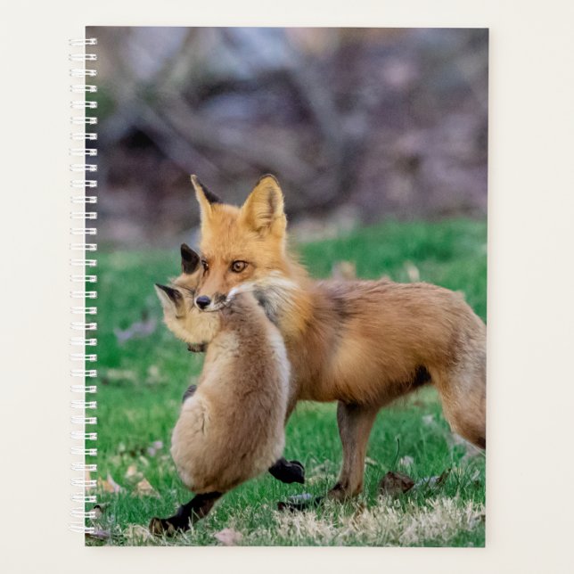 Red Fox and Kit 2024 Planer (Vorderseite)