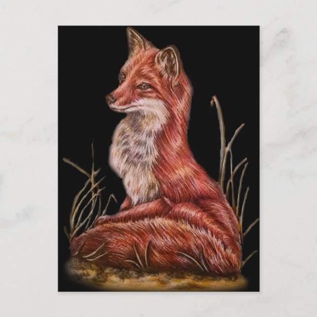 Red Fox Animal Art Zeichnend Postkarte (Vorderseite)