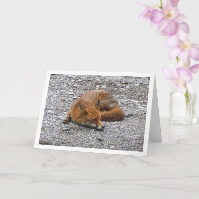 Red Fox auf der Straße Karte (Orchidee)