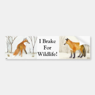 Red Fox Autoaufkleber