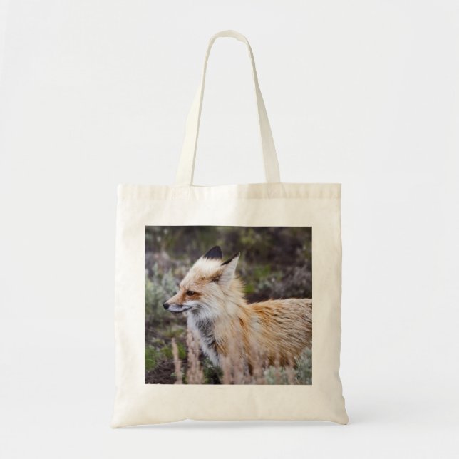 Red Fox - Beutel Tragetasche (Vorne)