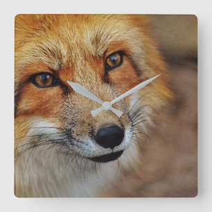 Red Fox Clock Quadratische Wanduhr