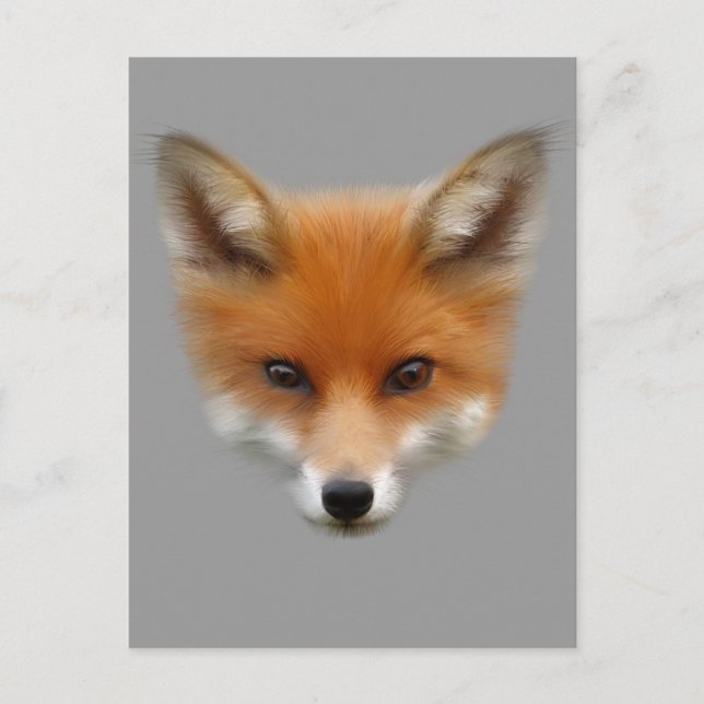 Red Fox Cub Postcard Postkarte (Vorderseite)
