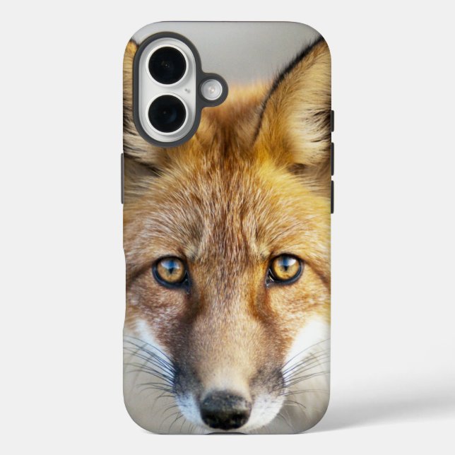 Red Fox Face, Nah-up iPhone 16 Hülle (Rückseite)