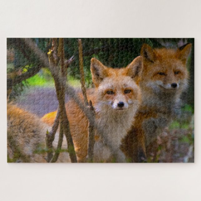 Red Fox Familie fordert die Natur lange (Horizontal)