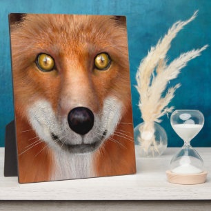 Red Fox Fotoplatte
