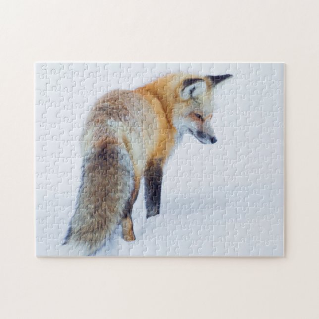 Red Fox im Winter (Horizontal)