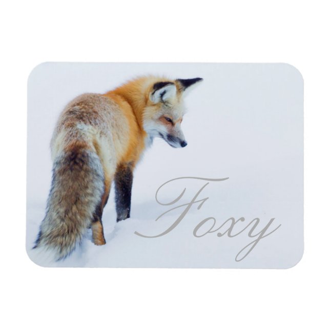 Red Fox im Winter Magnet (Horizontal)
