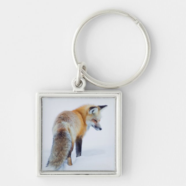 Red Fox im Winter Schlüsselanhänger (Vorne)