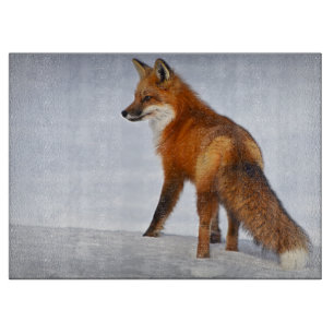Red Fox im Winterschnee Schneidebrett