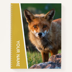 Red Fox in Australien, Gold Notizbuch