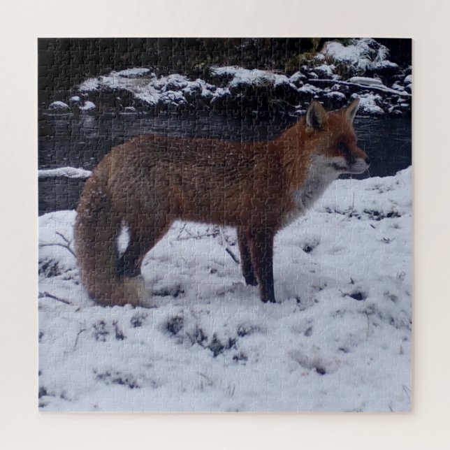Red Fox in Snow Jigsaw Puzzle (Vertikal)