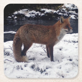 Red Fox in Snow Untersetzer