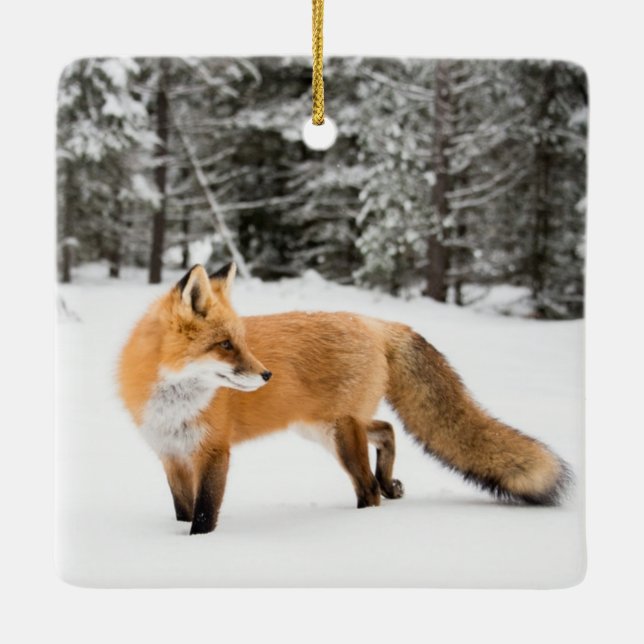 Red Fox in White Snow Keramikornament (Rückseite)