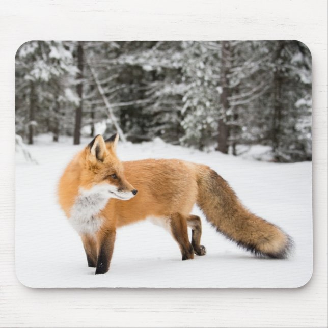 Red Fox in White Snow Mousepad (Vorne)