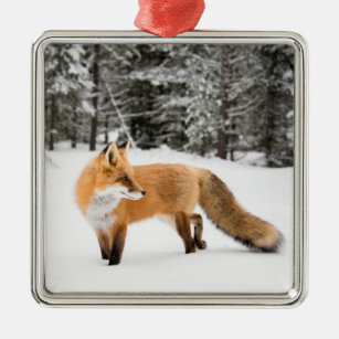 Red Fox in White Snow Ornament Aus Metall