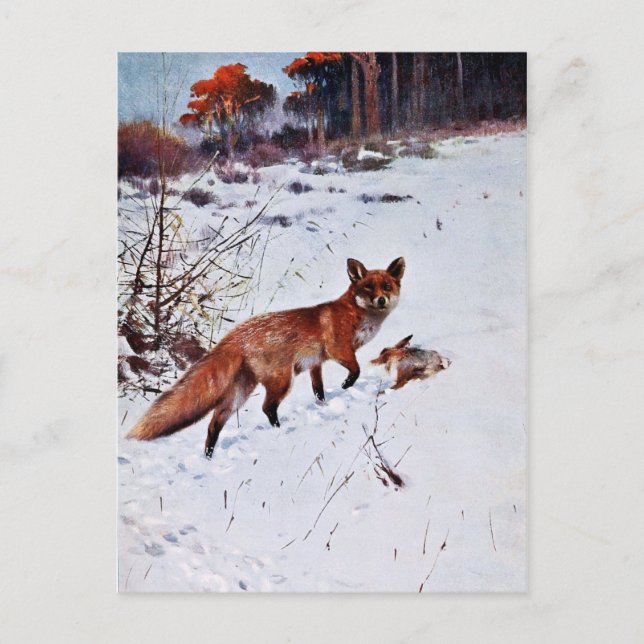 Red Fox Jagd Kunst Postkarte (Vorderseite)