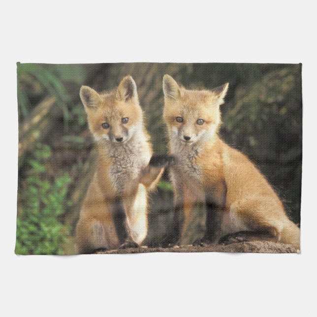 Red Fox Jungtier vor den Vulpes vulpes) Geschirrtuch (Horizontal)