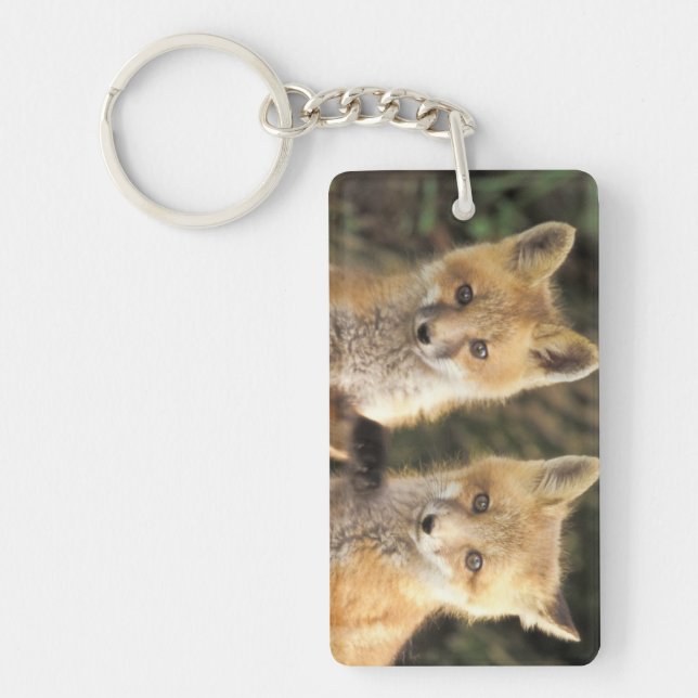 Red Fox Jungtier vor den Vulpes vulpes) Schlüsselanhänger (Vorderseite)