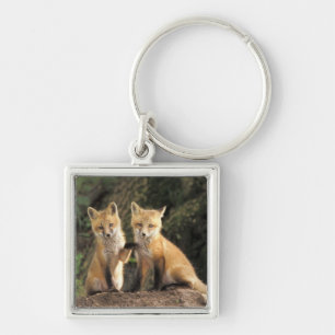Red Fox Jungtier vor den Vulpes vulpes) Schlüsselanhänger