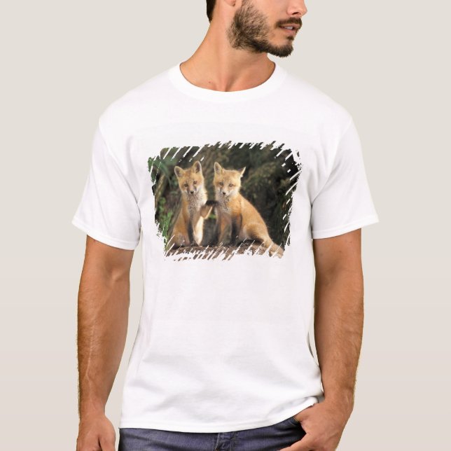 Red Fox Jungtier vor den Vulpes vulpes) T-Shirt (Vorderseite)