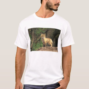 Red Fox Jungtier vor den (Vulpes vulpes) T-Shirt