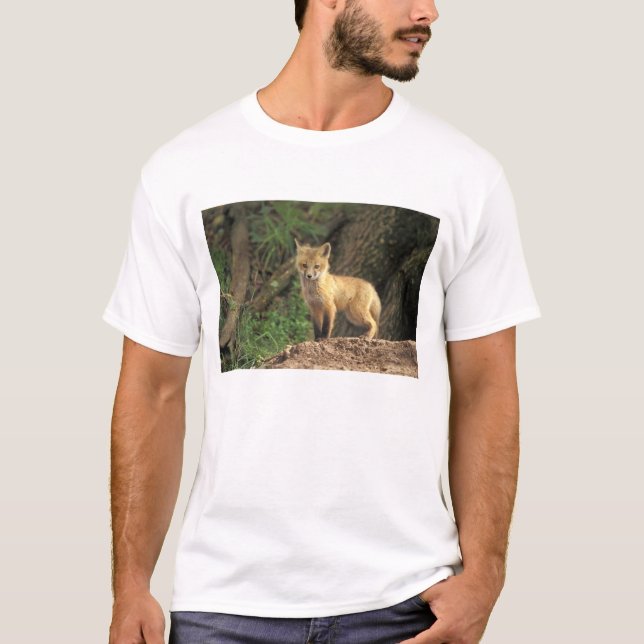 Red Fox Jungtier vor den (Vulpes vulpes) T-Shirt (Vorderseite)