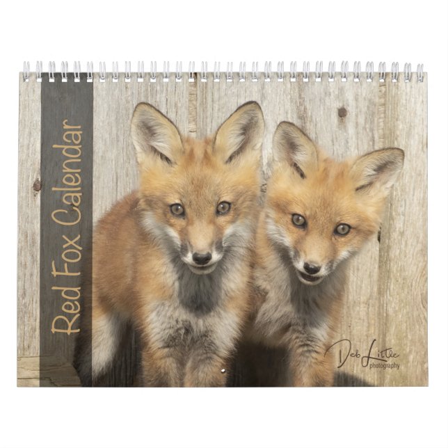 Red Fox Kalender (Titelbild)