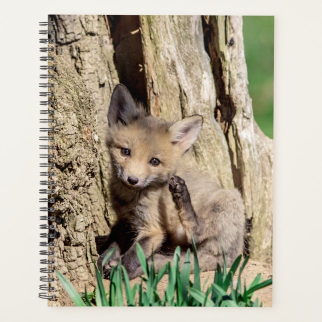 Red Fox Kit 2024 Planer (Vorderseite)