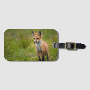 Red Fox Kit auf Graswiese Gepäckanhänger