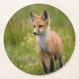 Red Fox Kit auf Graswiese Runder Pappuntersetzer