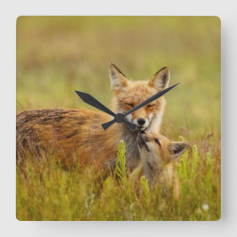Red Fox Kit für Momma  Quadratische Wanduhr