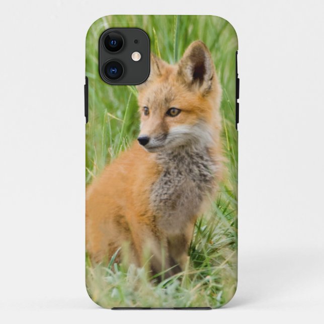 Red Fox Kit im Gras in der Nähe von Garten Case-Mate iPhone Hülle (Rückseite)