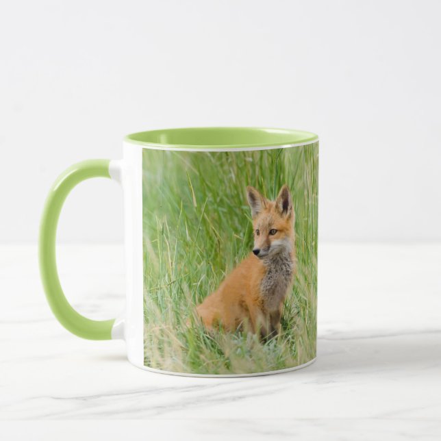 Red Fox Kit im Gras in der Nähe von Garten Tasse (Links)