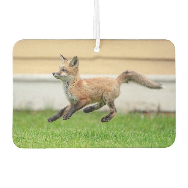 Red Fox Kit im Hudson Tal Autolufterfrischer (Vorderseite)