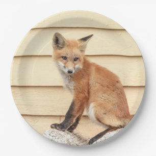 Red Fox Kit im Hudson Tal Pappteller