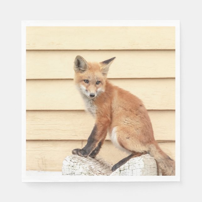Red Fox Kit im Hudson Tal Serviette (Vorderseite)