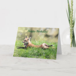 Red Fox Kit Karte