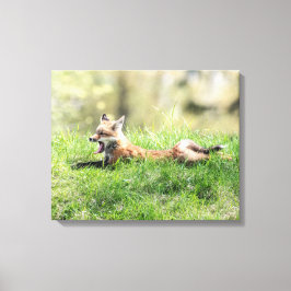 Red Fox Kit Leinwanddruck