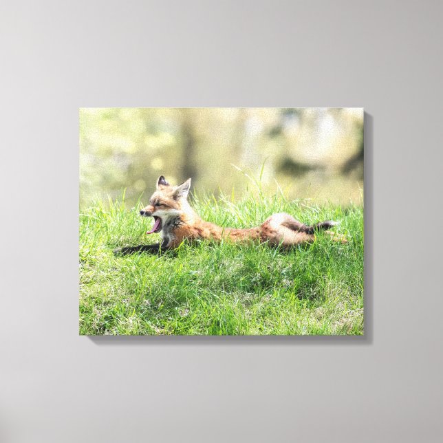 Red Fox Kit Leinwanddruck (Vorderseite)