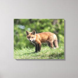 Red Fox Kit Leinwanddruck