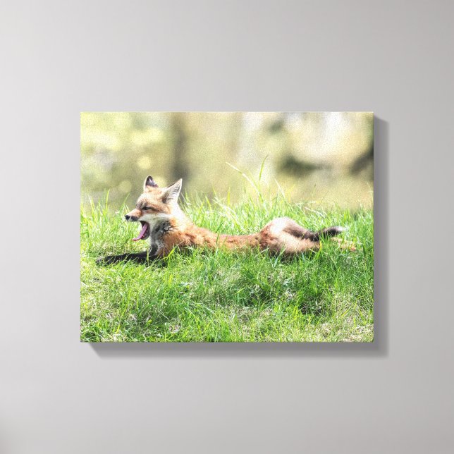 Red Fox Kit Leinwanddruck (Vorderseite)